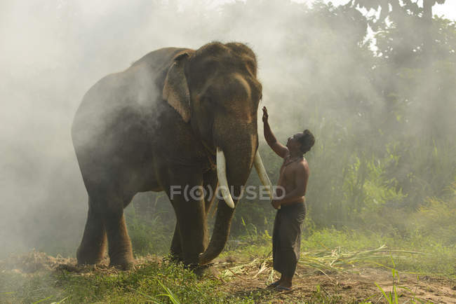 Side view of man petting beautiful elephant at wild nature — Stock Photo