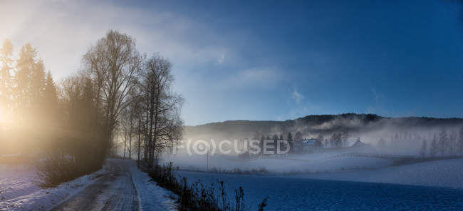 Vistas panorámicas del paisaje invernal, Noruega, Nittedal - foto de stock