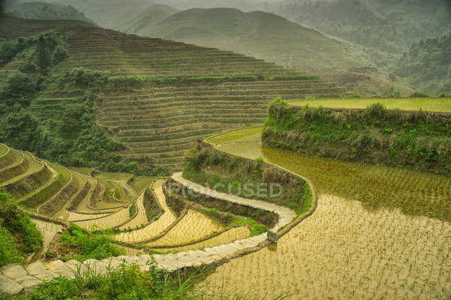Vista panoramica di terrazze di riso, Longji, Guilin, Cina — Foto stock