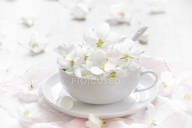 Flores de flores brancas em xícara de chá no pires — Fotografia de Stock