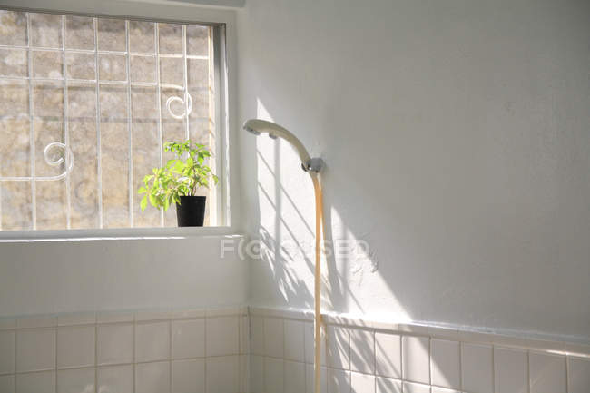 Douche et plante en pot par fenêtre dans la salle de bain — Photo de stock