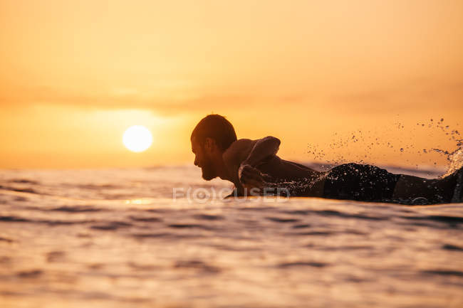 Primo piano di un surfista sorridente che remava per catturare un'onda al tramonto, San Diego, California, America, USA — Foto stock
