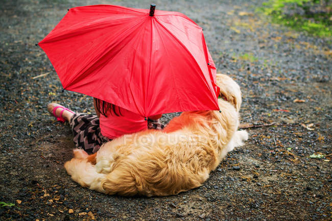 Девочка и золотой ретривер щенок сидит на тропинке под зонтиком под дождем — стоковое фото