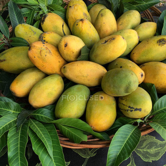 Cesta llena de frutos amarillos maduros de mango - foto de stock