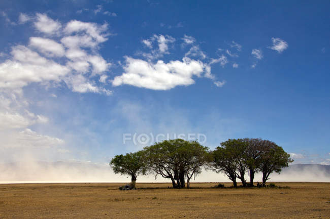 Vista panorámica del viento soplando polvo desde el lago magadi, cráter de Ngorongoro, Tanzania - foto de stock