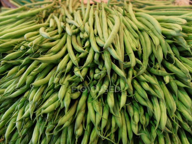 Close-up of green beans in large heap — Stock Photo