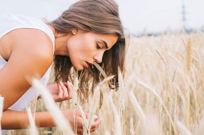 Vista lateral da mulher olhando para o trigo no campo — Fotografia de Stock