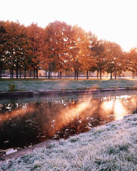 Scenic view of golden morning over canal — Stock Photo