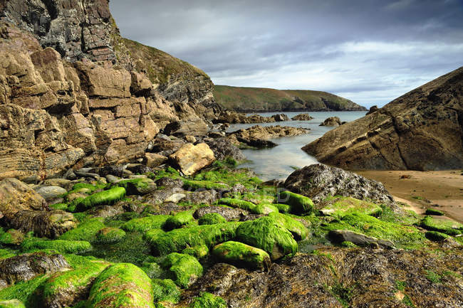 Vista panorámica de la costa rocosa en Irlanda - foto de stock
