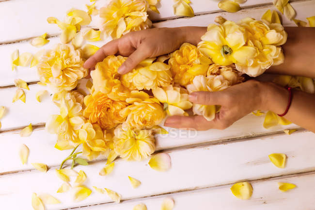 Manos femeninas sosteniendo rosas amarillas sobre fondo de madera blanco - foto de stock