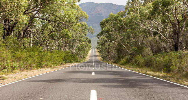 Vue panoramique sur la route vierge bordée d'arbres, The Grampians, Victoria Australie — Photo de stock