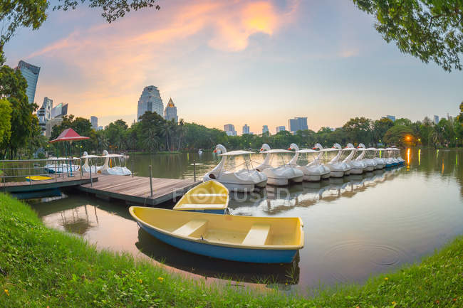 Vista panorámica de los barcos Swan en Lumphini Park, Bangkok, Tailandia - foto de stock