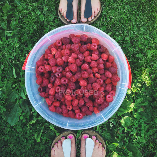 Overhead view of feet and a bucket of raspberries — Stock Photo