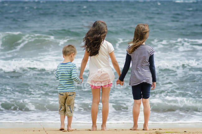 Вид сзади на мальчика и девочек, стоящих на прекрасном пляже — стоковое фото