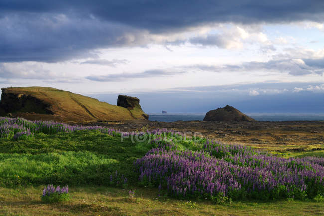 Vista panorâmica do prado, Península de Reykjanes, Islândia — Fotografia de Stock