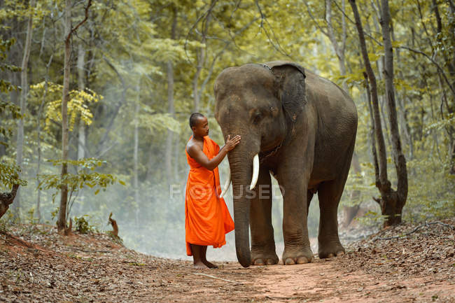 Elefante joven y monje en el bosque, Tailandia - foto de stock