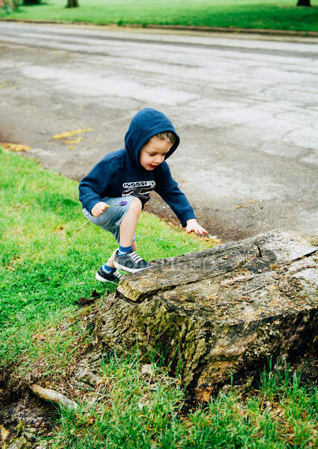 Junge mit Kapuzenjacke klettert auf Baumstamm — Stockfoto