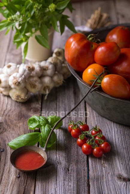 Натюрморт домашнего томатного соуса с помидорами, чесноком и травами — стоковое фото