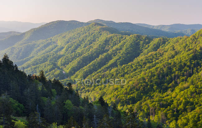 Vista panorámica de Great Smoky Mountain, Bryson City, Tennessee, America, USA - foto de stock