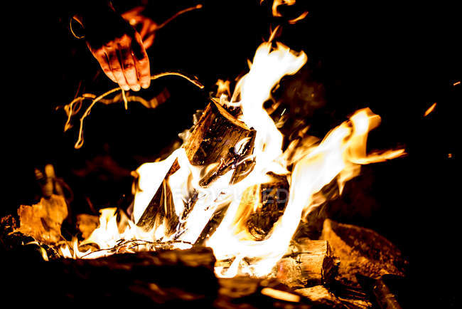 Primer plano de las manos poniendo ramitas en el fuego del campamento - foto de stock