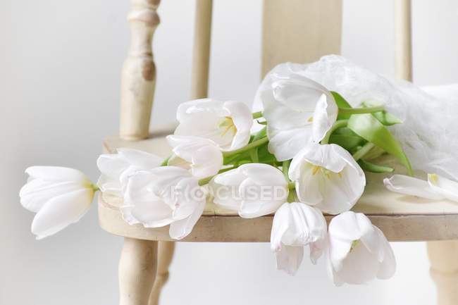 Primo piano di Tulipani bianchi su sedia di legno — Foto stock