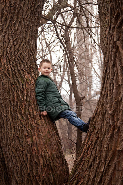Portrait of boy wearing warm jacket climbing a tree — Stock Photo