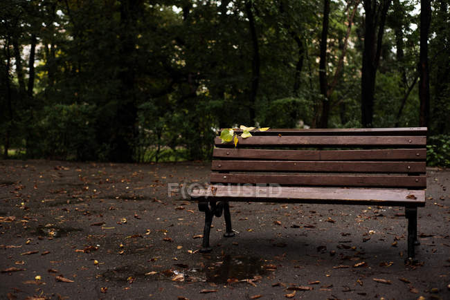 Banco vacío en parque en día lluvioso - foto de stock