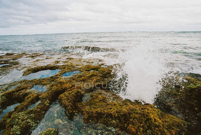 Wellen, die durch einen Blasloch-Auslauf krachen, Oahu, Hawaii, Amerika, USA — Stockfoto