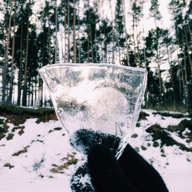 Обрезанное изображение ручной работы с куском льда на фоне зимнего леса — стоковое фото