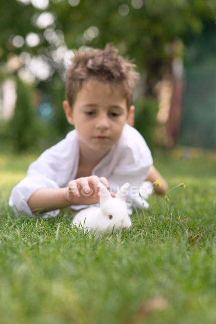 Menino brincando com um coelho no gramado no jardim — Fotografia de Stock