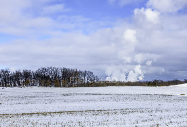 Steam from nuclear power plant seen across field, Illinois, America, USA — Stock Photo