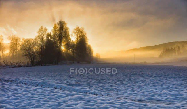 Malerischer Blick auf den schönen Sonnenaufgang in Norwegen — Stockfoto