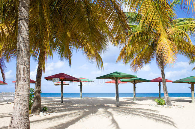 Mar do Caribe, Antígua, guarda-sóis de madeira e palmas na praia — Fotografia de Stock