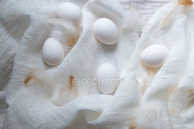 Eier und Federn auf weißem Musselintuch — Stockfoto