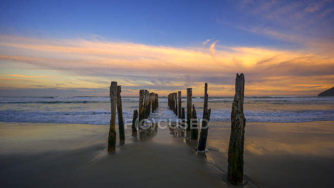 Деревянные столбы на St Clair Beach, Данидин, Новая Зеландия — стоковое фото