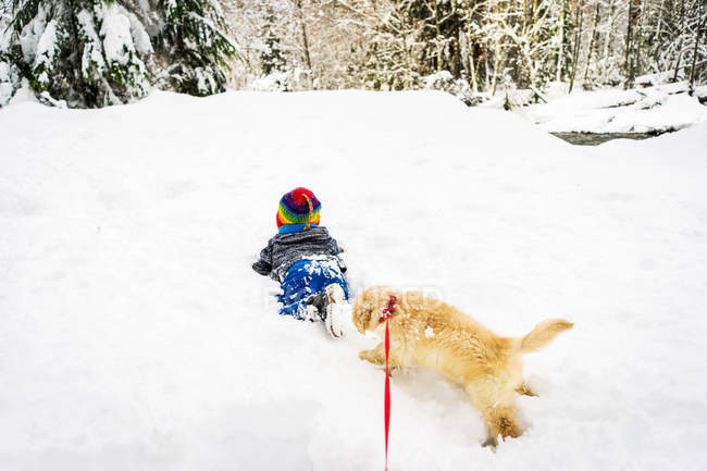 Boy playing with Golden retriever puppy dog in snow — Stock Photo