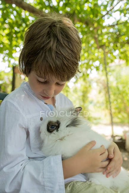 Niño sosteniendo esponjoso conejo mascota - foto de stock
