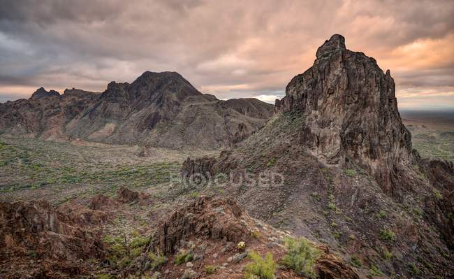 Vista panorámica de las montañas al amanecer, Kofa National Wildlife Refuge, Región de Polaris, Arizona, EE.UU. - foto de stock