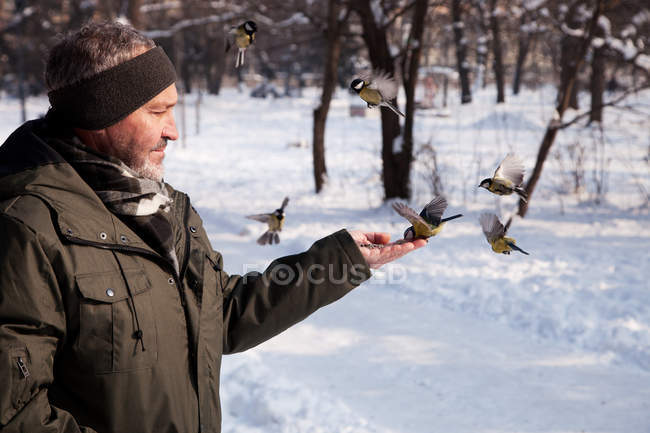 Uomo che nutre uccelli nella foresta invernale — Foto stock