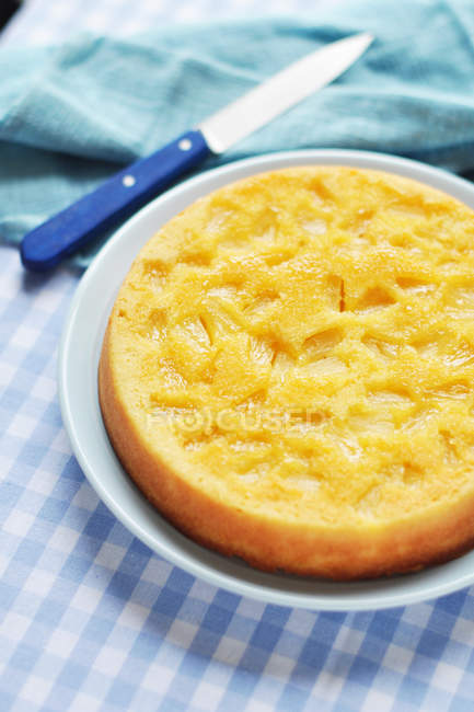 Nahaufnahme von leckerem Ananaskuchen auf dem Teller — Stockfoto