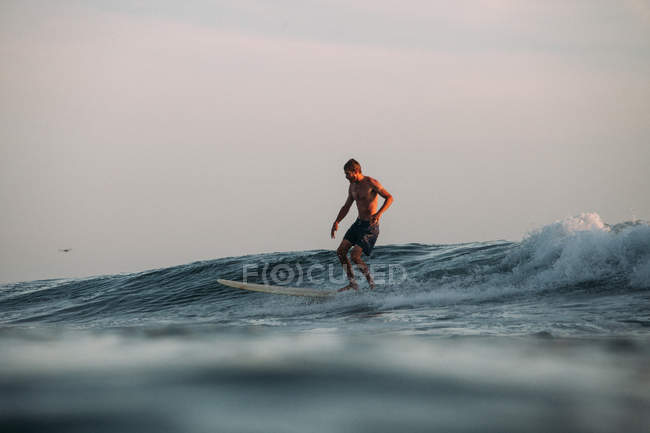 Surfista masculino em um longboard, San diego, Califórnia, América, EUA — Fotografia de Stock