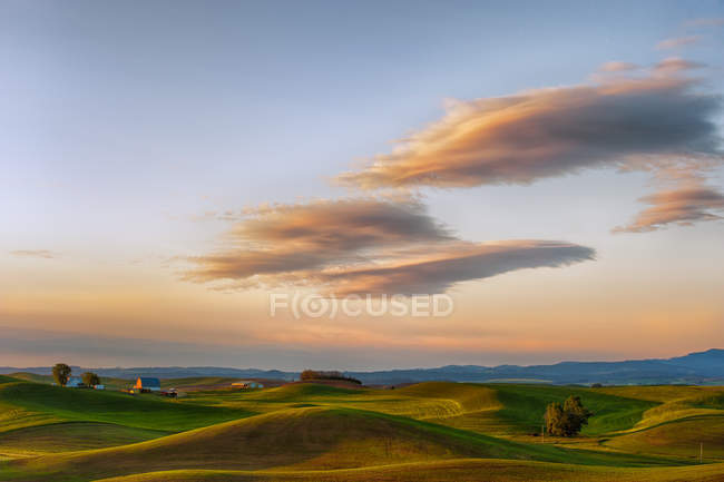 Vista panorámica de los campos de trigo rodante bajo el cielo nublado - foto de stock