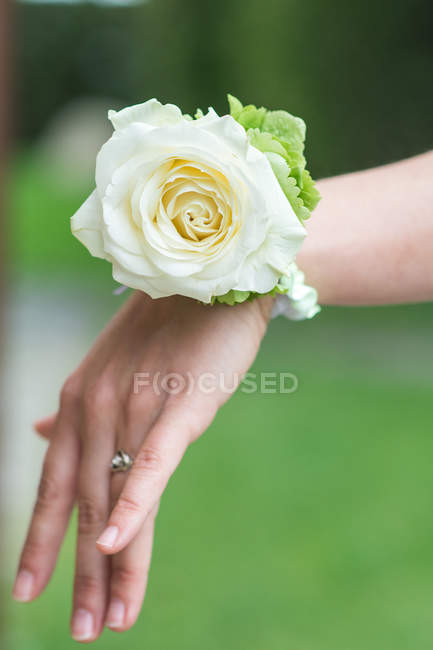Cropped image of Rose Corsage on female hand against blurred background — Stock Photo