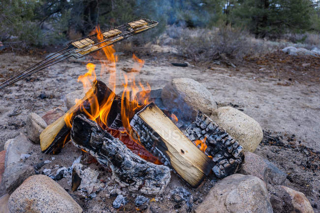 Preparando smores em fogueira na natureza, close-up — Fotografia de Stock