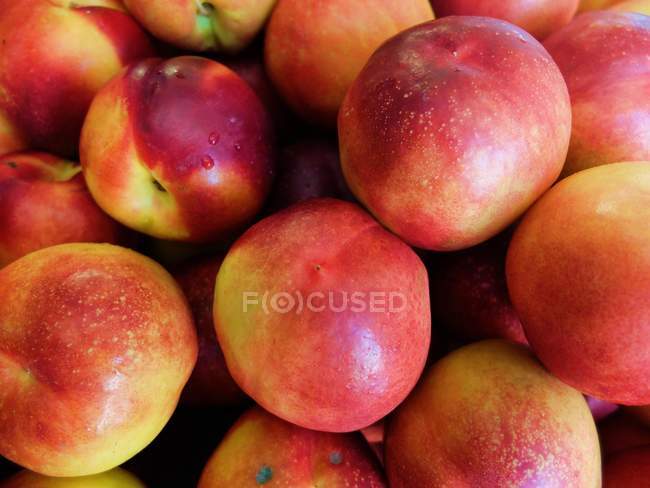 Close-up of fresh ripe nectarines in heap — Stock Photo