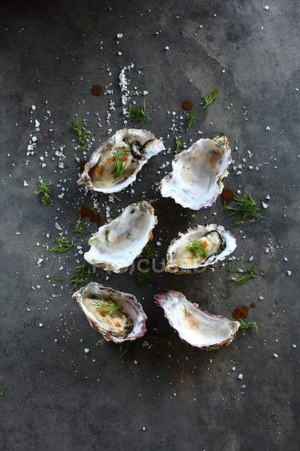 Fresh Oysters with dill and salt on grey surface — Stock Photo