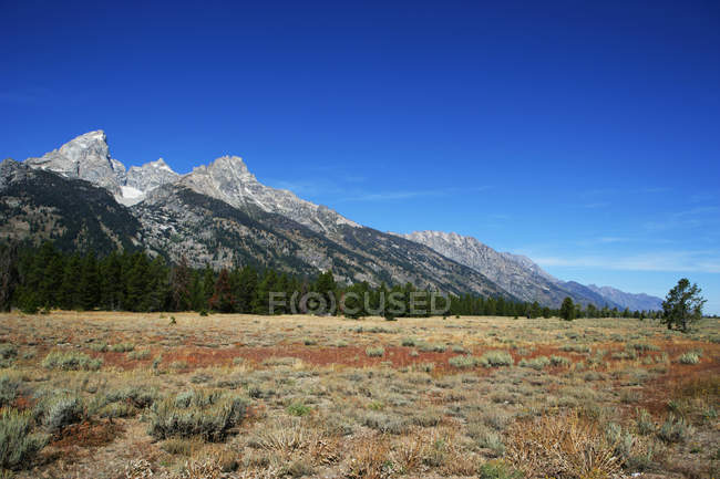 Vista panorámica de las montañas, Wyoming, América, Estados Unidos - foto de stock
