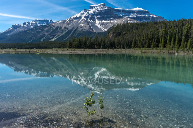 Majestic view of Mt Amery reflection near Graveyard Flats by the Icefields Parkway, Jasper National Park, Canadian Rockies, Alberta, Canada — Stock Photo