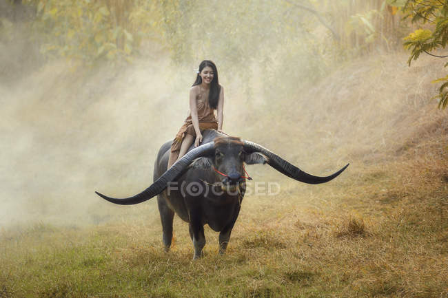 Mujer montando búfalo longhorn en la naturaleza, Tailandia - foto de stock