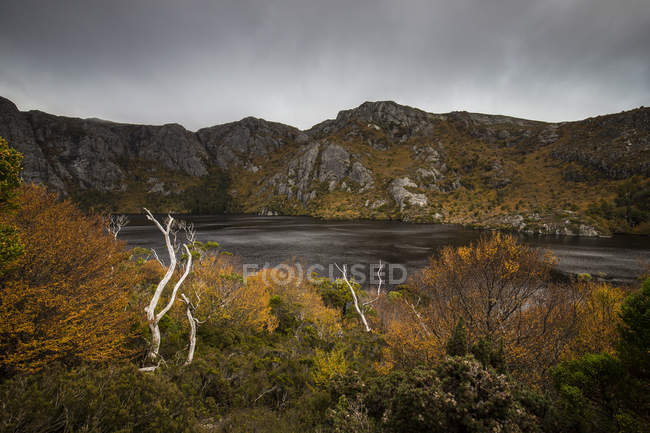 Scenic view of Tea tree lake, Cradle Mountain, Tasmania, Australia — Stock Photo